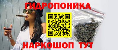 индика Ливны