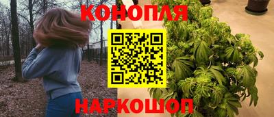 индика Ливны