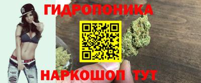 шишки Лесосибирск