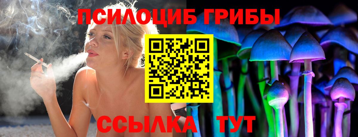 Псилоцибиновые грибы Psilocybine cubensis  Вход с VPN  Бийск 